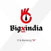 Bigxindia logo - Similar company to Eunerd