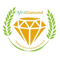 AfriDiamond Enterprise logo - Similar company to Curate Mktg