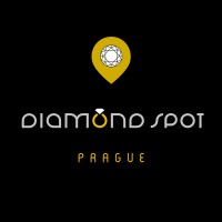 Diamond Spot Prague logo - Similar company to Diamond World