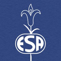 Externato Santo Antônio logo - Similar company to Iskr