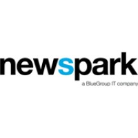 Newspark BV logo - Similar company to Acda Consultancy B.V.
