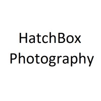 HatchBox Photography Ltd logo - Similar company to Od Management