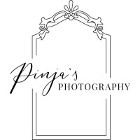 Pinja's Photography logo - Similar company to Mip Electronics Oy