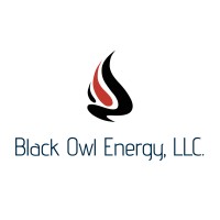 Black Owl Energy, LLC. logo - Similar company to Procint