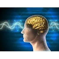 The Palm Beach Neurobehavioral Institute logo - Similar company to Nbi Neurobehavioral Institute