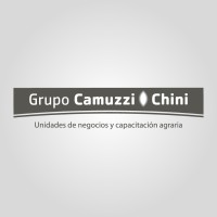 Grupo Camuzzi-Chini