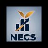 NECS: Neo Elite Consulting Services logo - Similar company to Eagle Intelligence Reports