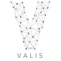 Valis logo - Similar company to Sizze