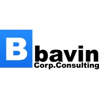 Bavin Corp Consulting logo - Similar company to Paveway Group Inc.