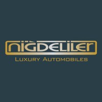 Niğdeliler Otomotiv logo - Similar company to Netrom