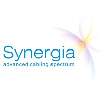 Synergia SE logo - Similar company to Nexcore