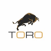 TORO GLOBALEDGE LLP logo - Similar company to Silon Granito Llp
