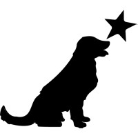 Sirius Analytics Group