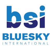 Bluesky International Logistics logo - Similar company to Container Team