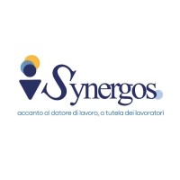 Servizi Synergos logo - Similar company to Safety Expert