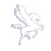 Pegasi Gestió S.L. logo - Similar company to Gladtolink