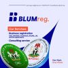 Blumreg logo - Similar company to Nextjobquest