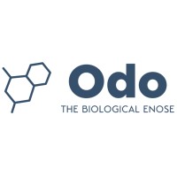 Odo Labs logo - Similar company to Odo.Digital | Temaflex