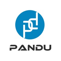 Pandu Solutions logo - Similar company to Exact It