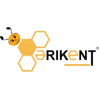 ARIKENT logo - Similar company to Beecity Global