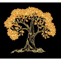 Imperial Standard Holdings (Private Family Office) logo - Similar company to Virtual Agrigroculture