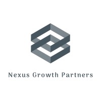 Nexus Growth Partners logo - Similar company to Cube Software Group