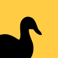 Duck Town logo - Similar company to Bilsat - Bilkent Universitesi Sualtı Topluluğu