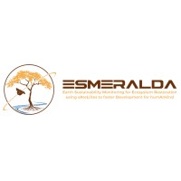 ESMERALDA SAS logo - Similar company to Fsh Foundation