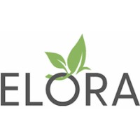 ELORA SOLUTIONS logo - Similar company to Elora Solution Led