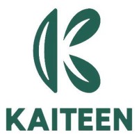 Kaiteen shoes logo - Similar company to Time Proof Design
