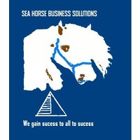 Sea Horse Business Solutions logo - Similar company to Reckon Security Systems (Pvt.) Ltd.