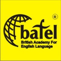 Bafel India logo - Similar company to Rvm Foundation