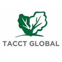 TACCT GLOBAL logo - Similar company to Beboxa