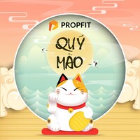 Propfit