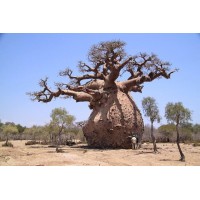 PORTOVERDÉ  ou  PORTO-LAVERTE logo - Similar company to Weplanify