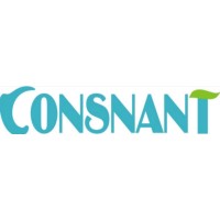 Consnant Technology logo - Similar company to Custom Cnc Solutions