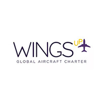FlyWings UP logo - Similar company to Flywings Travels