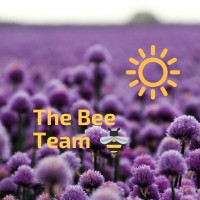 The Bee Team - Saving People Money... Let me Help you save money at this uncertain time 🥇 logo - Similar company to Lightfoot International