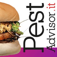 PestAdvisor Srl logo - Similar company to Facilmente Inglese