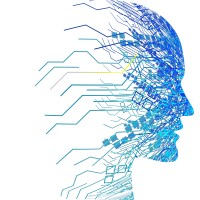 Labyrinth Media ZA logo - Similar company to Colocio Ai