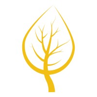 Aspen Peak Productions logo - Similar company to Webewell