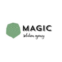 MAGIC SOLUTION logo - Similar company to Gerard Robotics