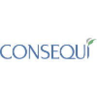 Consequi logo - Similar company to Rc4Vets Llc