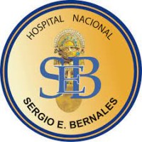 Hospital Nacional Sergio E. Bernales
