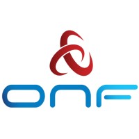 Open Networking Foundation (ONF) logo - Similar company to Networking Technologies