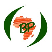 BrainSystem Projects logo