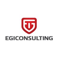 EGI Consulting - a Dallas, TX based MBE firm logo - Similar company to Egi Solutions