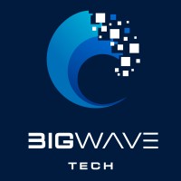 Big Wave Tech, LLC. logo - Similar company to Codespaces Tech