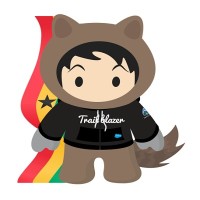 Salesforce Admin Community, Ghana logo - Similar company to Conam Technologies