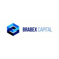 Brabex Capital logo - Similar company to Acamar Partners